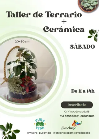Taller de Terrario y Cerámica