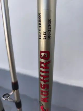 Cañas de pescar surfcasting