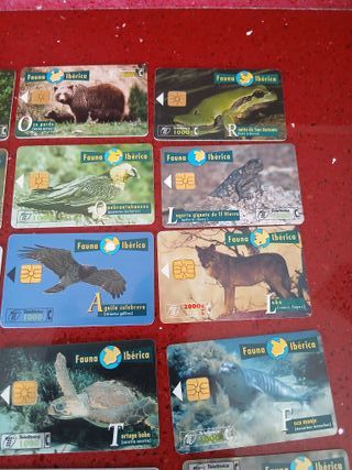 🇪🇦 15 Tarjetas Telefónicas Fauna Ibérica