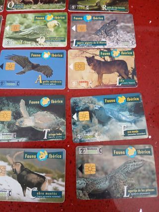 🇪🇦 15 Tarjetas Telefónicas Fauna Ibérica