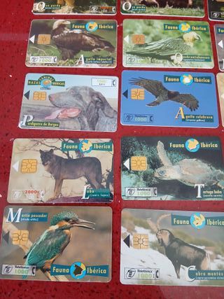 🇪🇦 15 Tarjetas Telefónicas Fauna Ibérica
