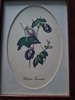 2 Cuadros Flores Moradas y Marrones