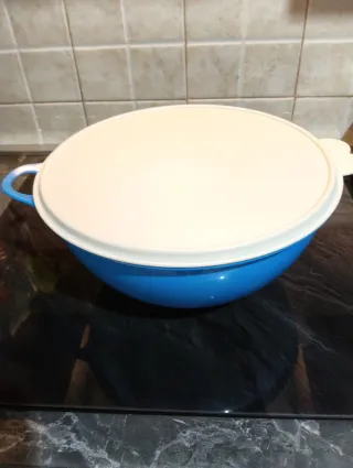 Ciotola Tupperware Blu e Bianca