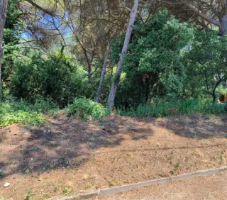 Limpieza de parcelas y terrenos