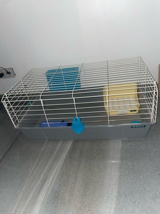 Jaula para conejo/cobaya