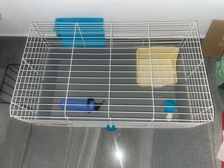 Jaula para conejo/cobaya