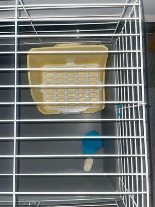 Jaula para conejo/cobaya