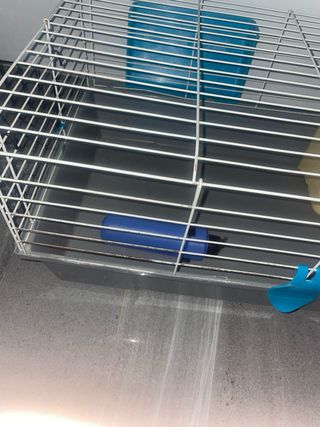 Jaula para conejo/cobaya