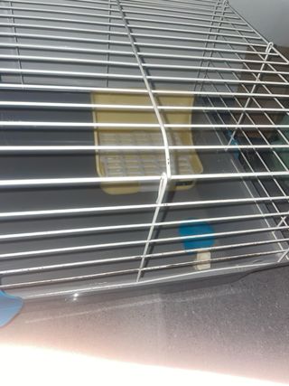 Jaula para conejo/cobaya