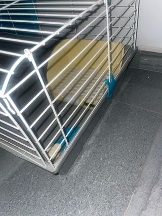 Jaula para conejo/cobaya
