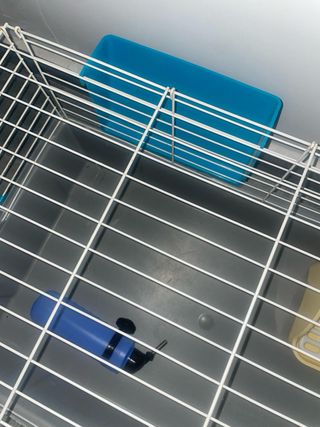 Jaula para conejo/cobaya