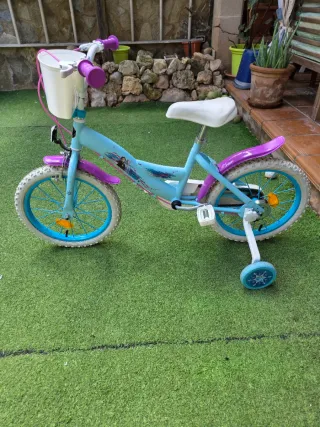 Bicicleta infantil niña 16 pulgadas