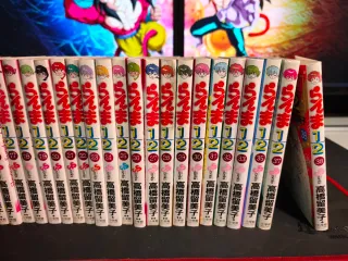 Ranma 1/2 - Colección CASI completa