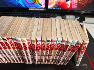 Ranma 1/2 - Colección CASI completa