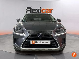 Lexus NX 2.5 300h Business 2WD
