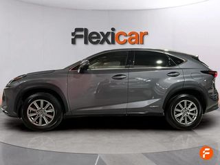 Lexus NX 2.5 300h Business 2WD