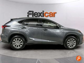 Lexus NX 2.5 300h Business 2WD