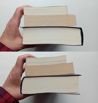 Alicia Giménez-Bartlett 3 libri Sellerio