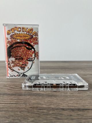 Musicassetta Sponge Rotten Piñata