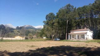 Finca de 5000m2 con casa y estanque