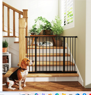 Barrera Seguridad Extensible Puertas Escalera