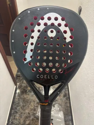 Pala Head Coello Motion 2025