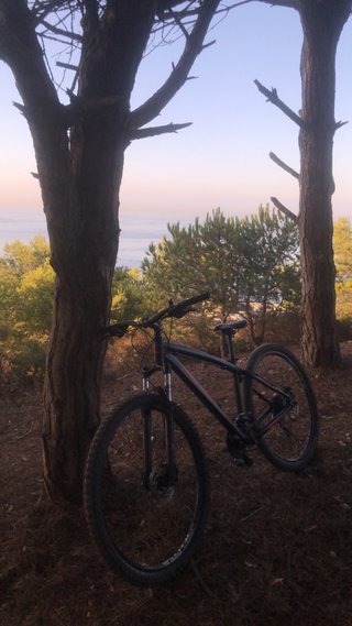 Bicicleta conor nueva y sin ningun defecto