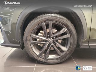 Lexus NX450+ EXECUTIVE PLUS 2025 REF 2537