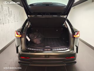 Lexus NX450+ EXECUTIVE PLUS 2025 REF 2537