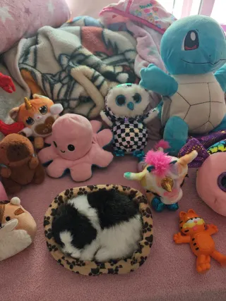 Lote de peluches variados