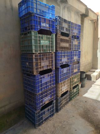 Cajas de plásticopara campo