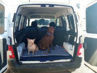 Peugeot Partner 2005