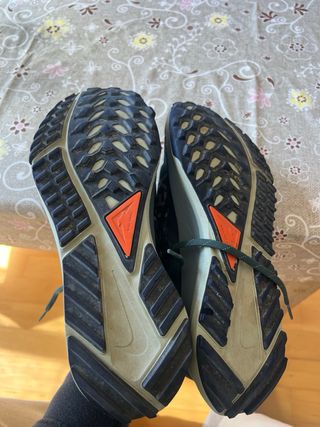 Nike Pegasus Trail 4 Gore-Tex Verde/Morado