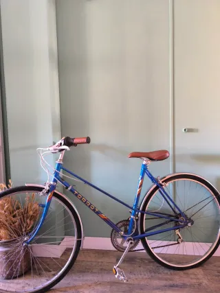 Bicicleta Clásica Torrot 313 High-Tensile