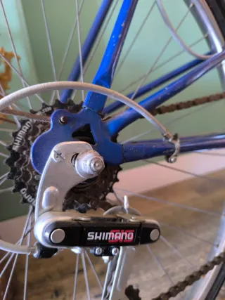 Bicicleta Clásica Torrot 313 High-Tensile