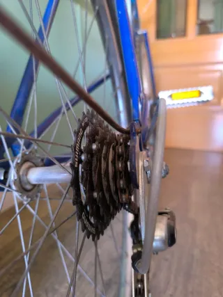 Bicicleta Clásica Torrot 313 High-Tensile