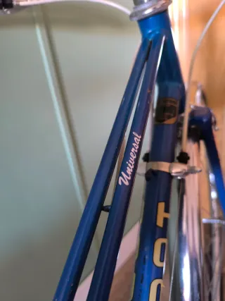 Bicicleta Clásica Torrot 313 High-Tensile