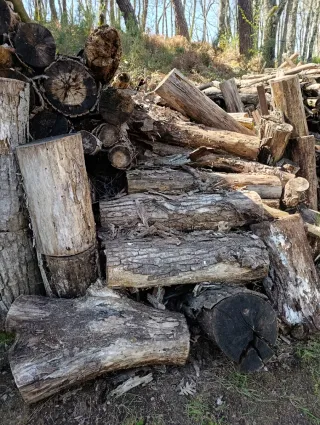 REGALO MADERA DE CHOPO.