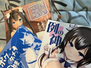 X3 comic Fanbook H Danmachi Hestia doujin