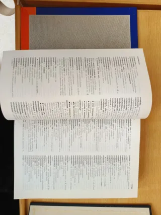 Diccionari Avancat Catala-castella Castellano-c...