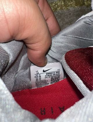 Nike Air Max 95 Anatomy of Air