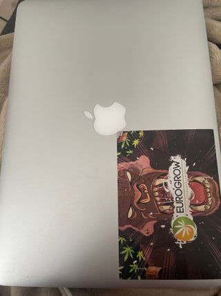 Pantalla MacBook Air 13 A1466 Original