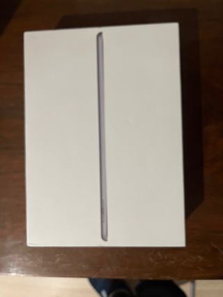 Apple iPad 5 Plata