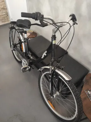 Bicicleta Paseo R26 Aluminio