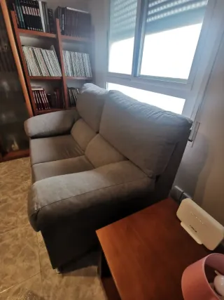 Sofá de 2 plazas gris