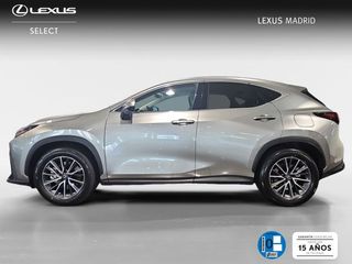 Lexus NX 450h+ Premium+ 4WD