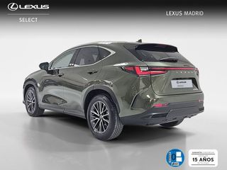 Lexus NX 450h+ Executive+ 4WD