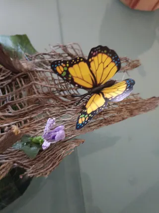 Hada de la caída buena suerte isoteric