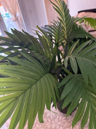 Planta de plástico verde