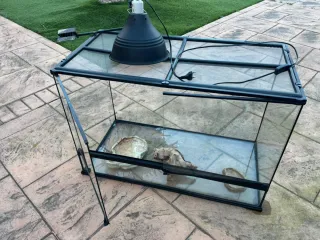 Terrario Exoterra Negro con Accesorios